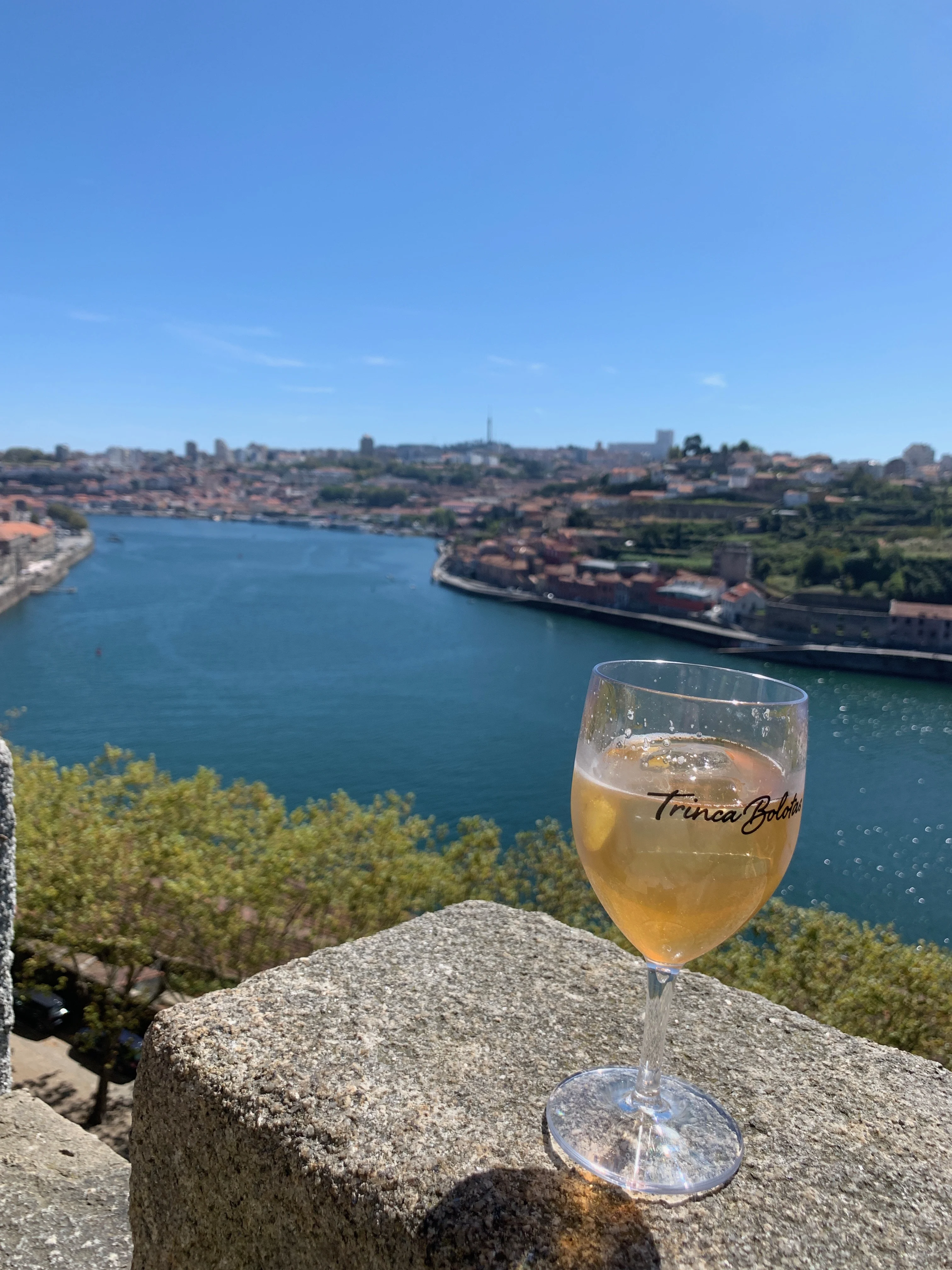 A Porto Tonico overlooking the Douro river at the Crystal Palace Gardens