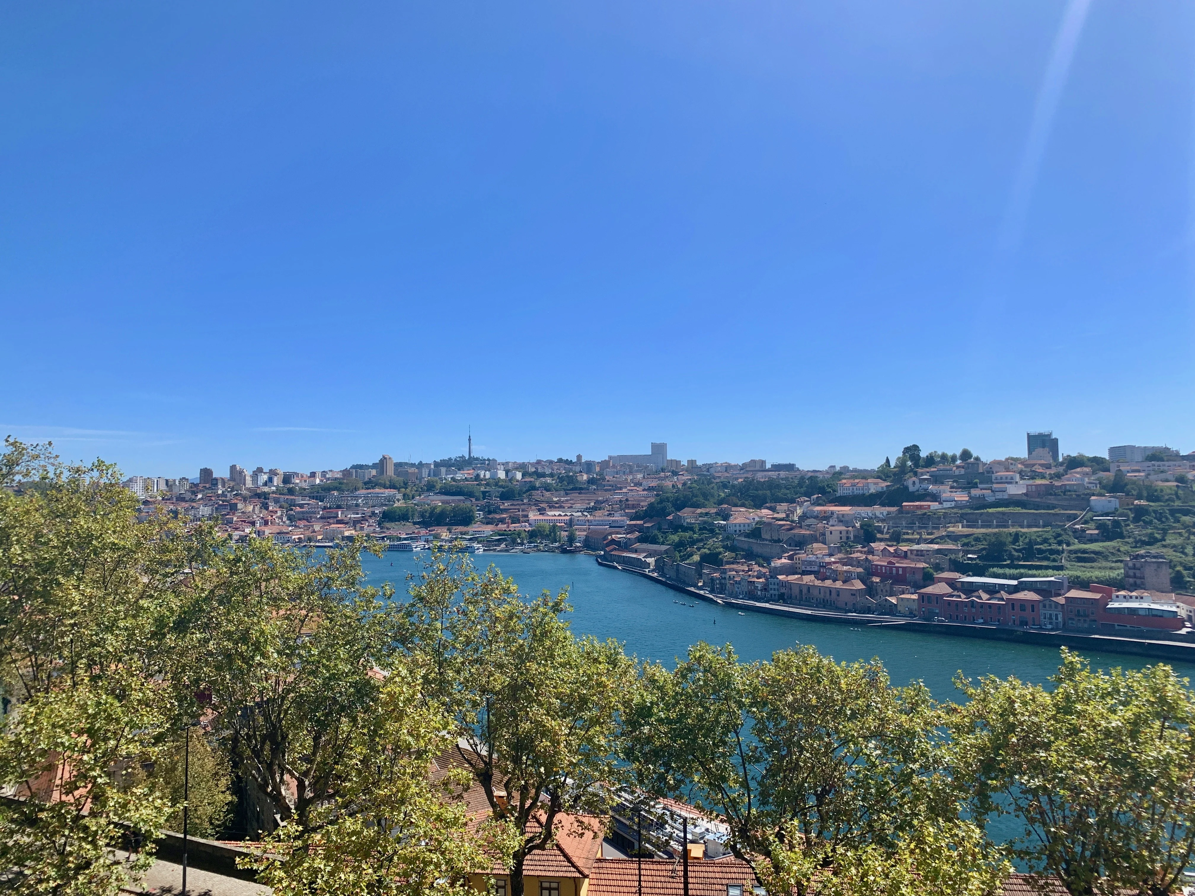 View or the Douro River from the Crystal Palace Gardens in the Cedofeita neighborhood