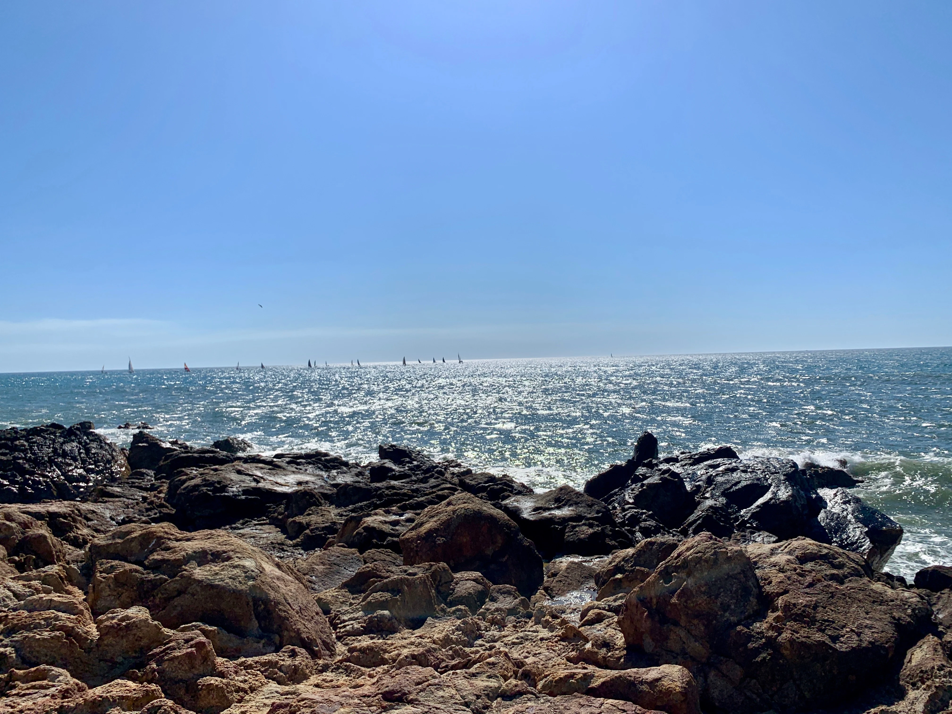 Tiny sails on the ocean from Praia Ingleses