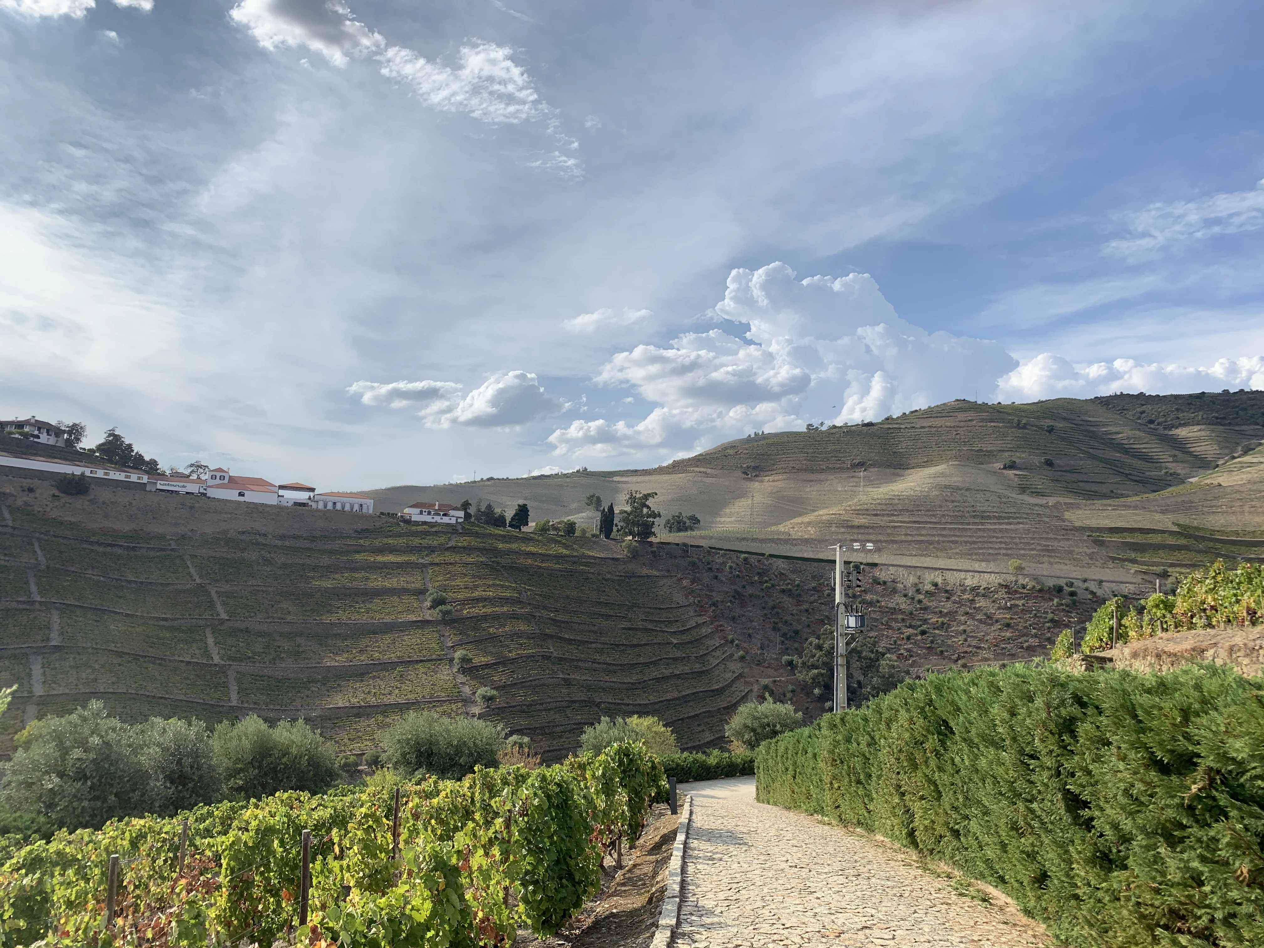 The sun shining over wine-terraced hills in the Duoro Valley