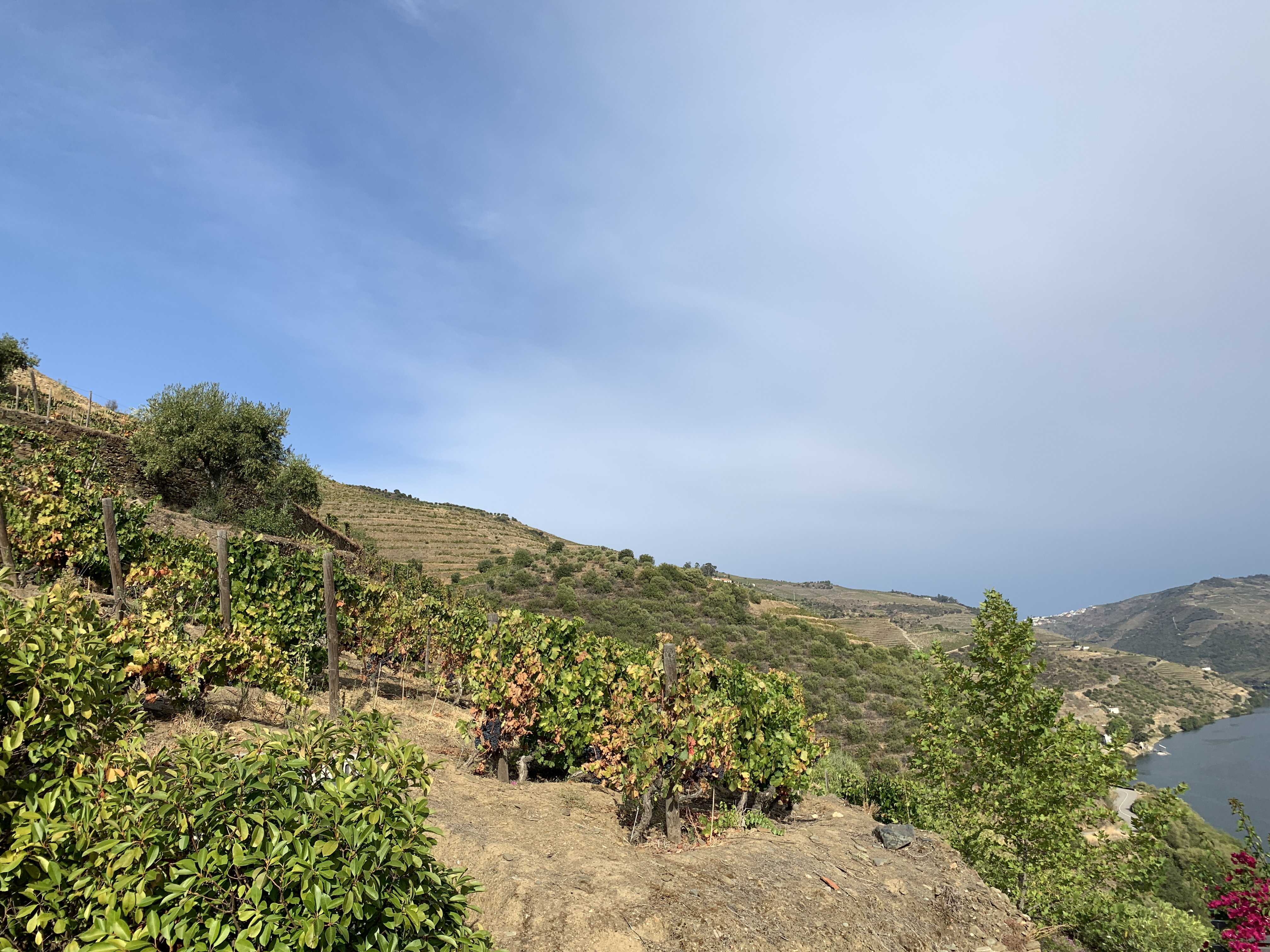 douro valley without tour