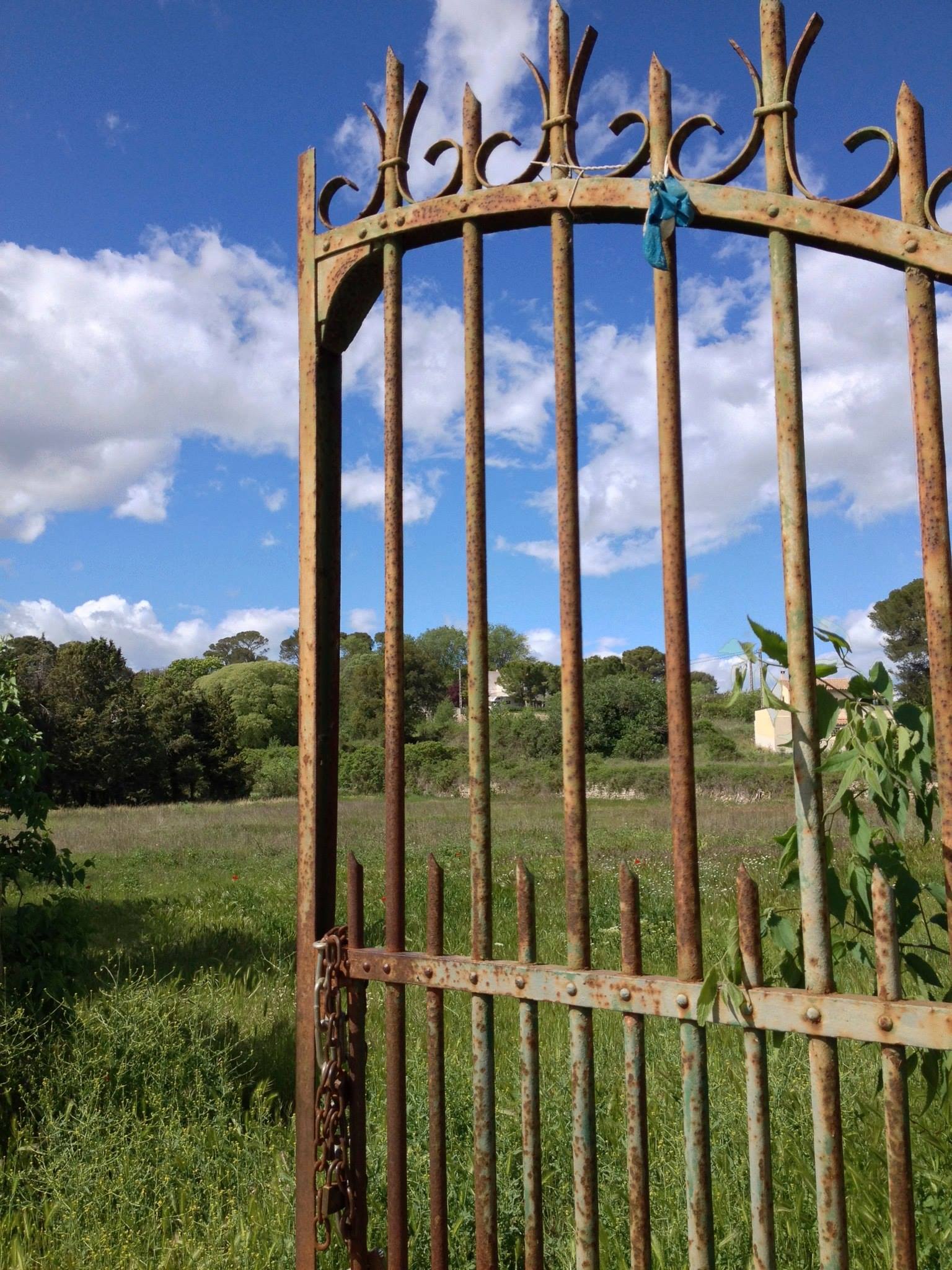 A beautiful, old gate leading into a verdant field 