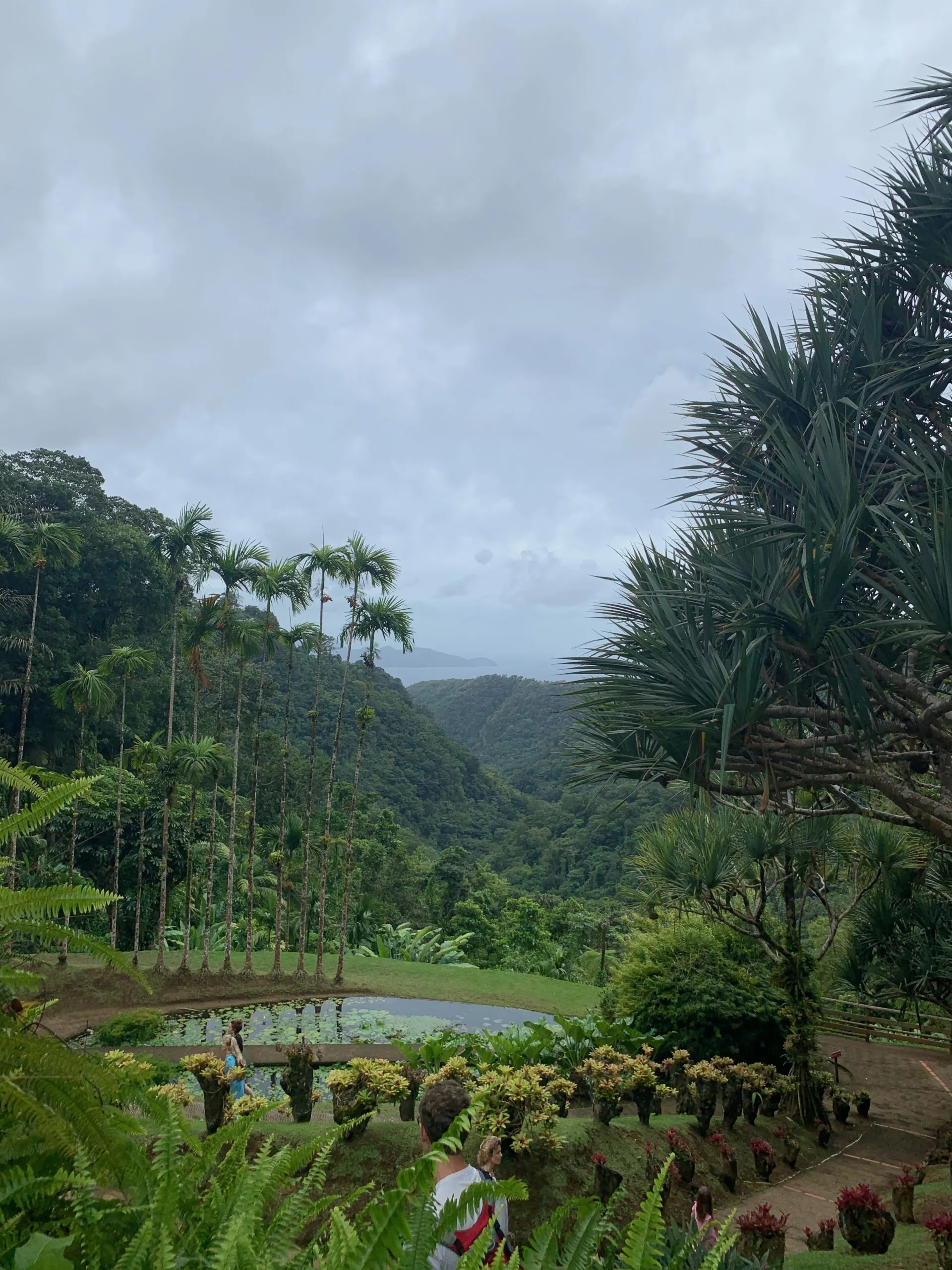 Beautiful view of green mountains and the Fort-de-France bay from Jardin de Balata (Batala Gardens) in Martinique