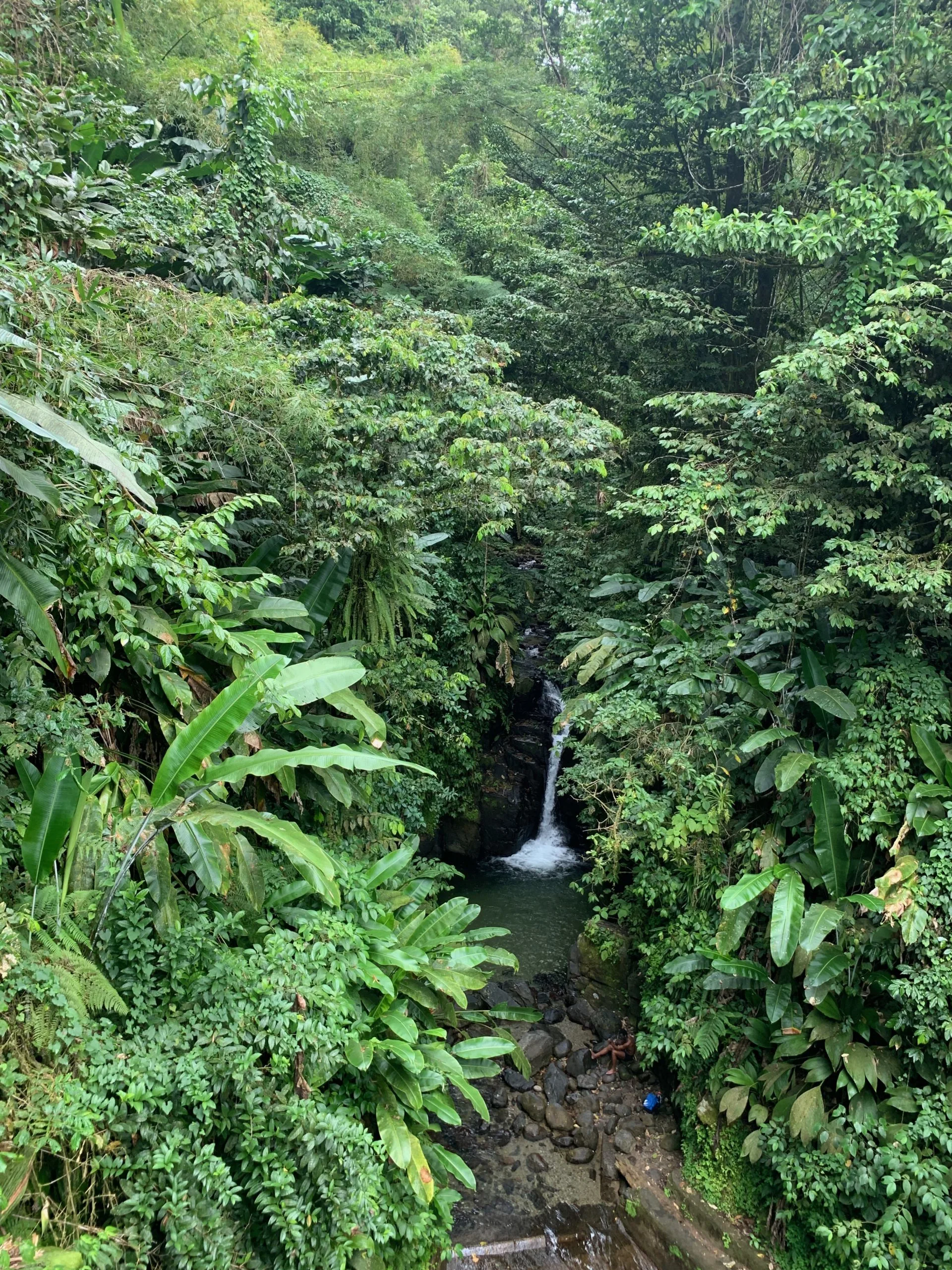 Arial view of Cascade de la Ravine Baron (Ravine Baron Waterfall) in Martinique