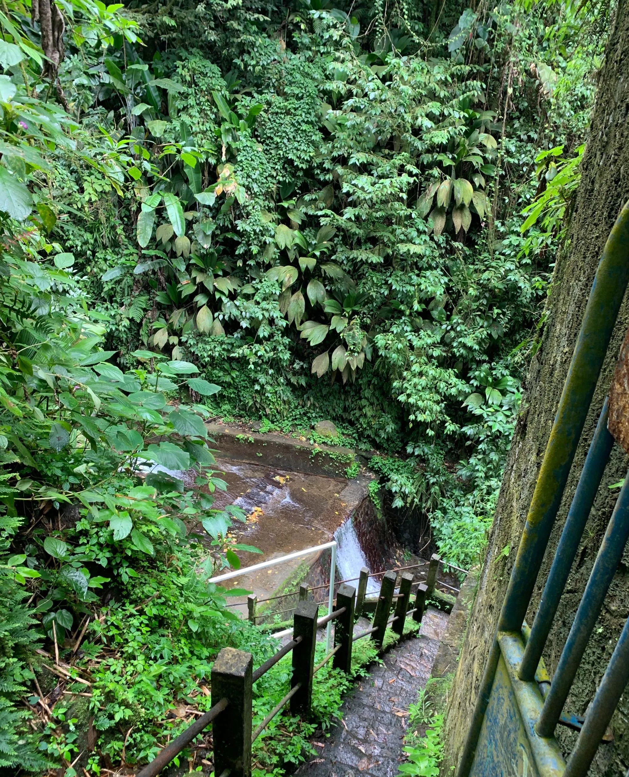 The stairs you have to take down to get to Cascade de la Ravine Baron (Ravine Baron Waterfall) in Martinique
