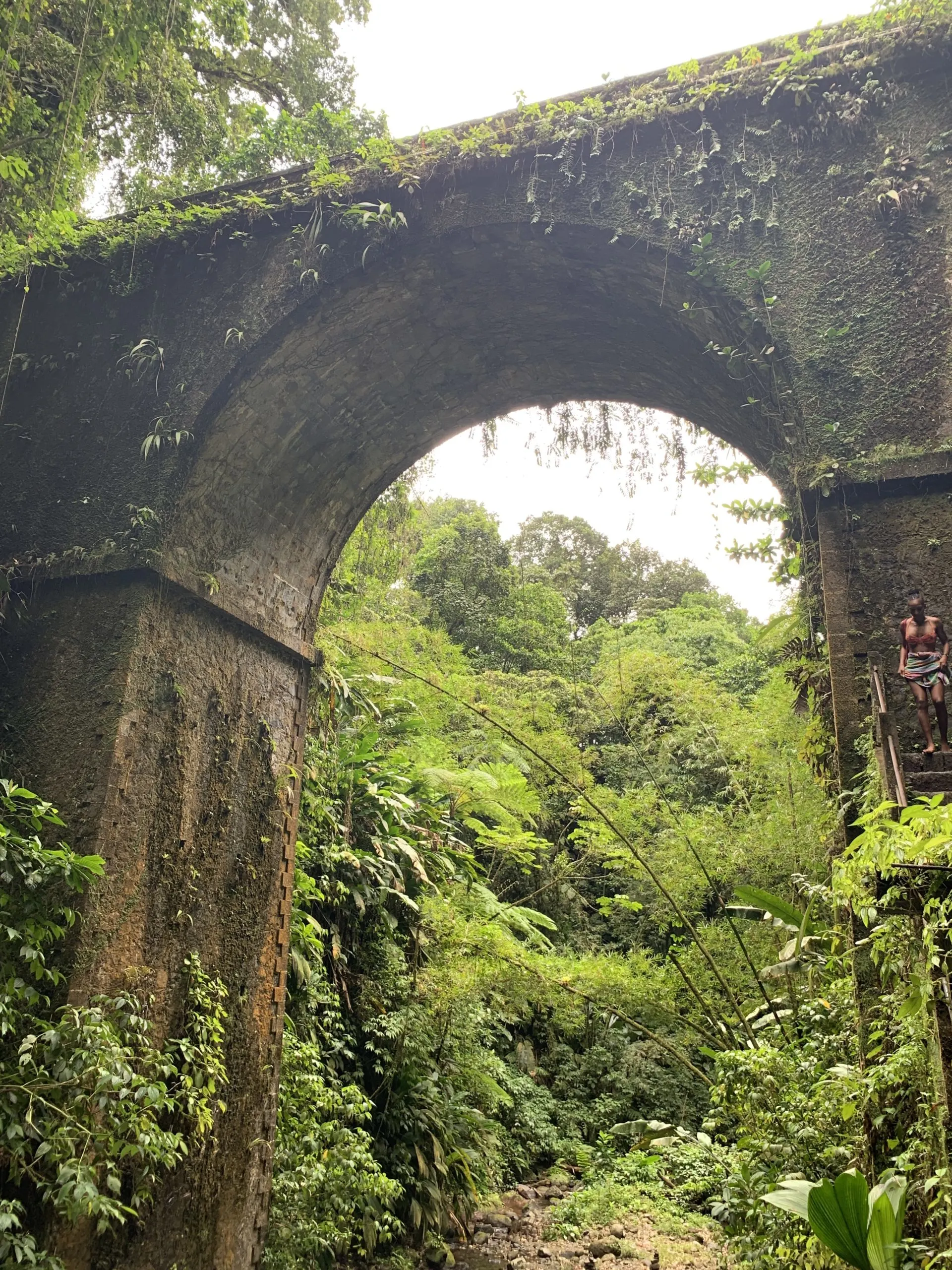 View of the bridge looking up from Cascade de la Ravine Baron (Ravine Baron Waterfall) in Martinique