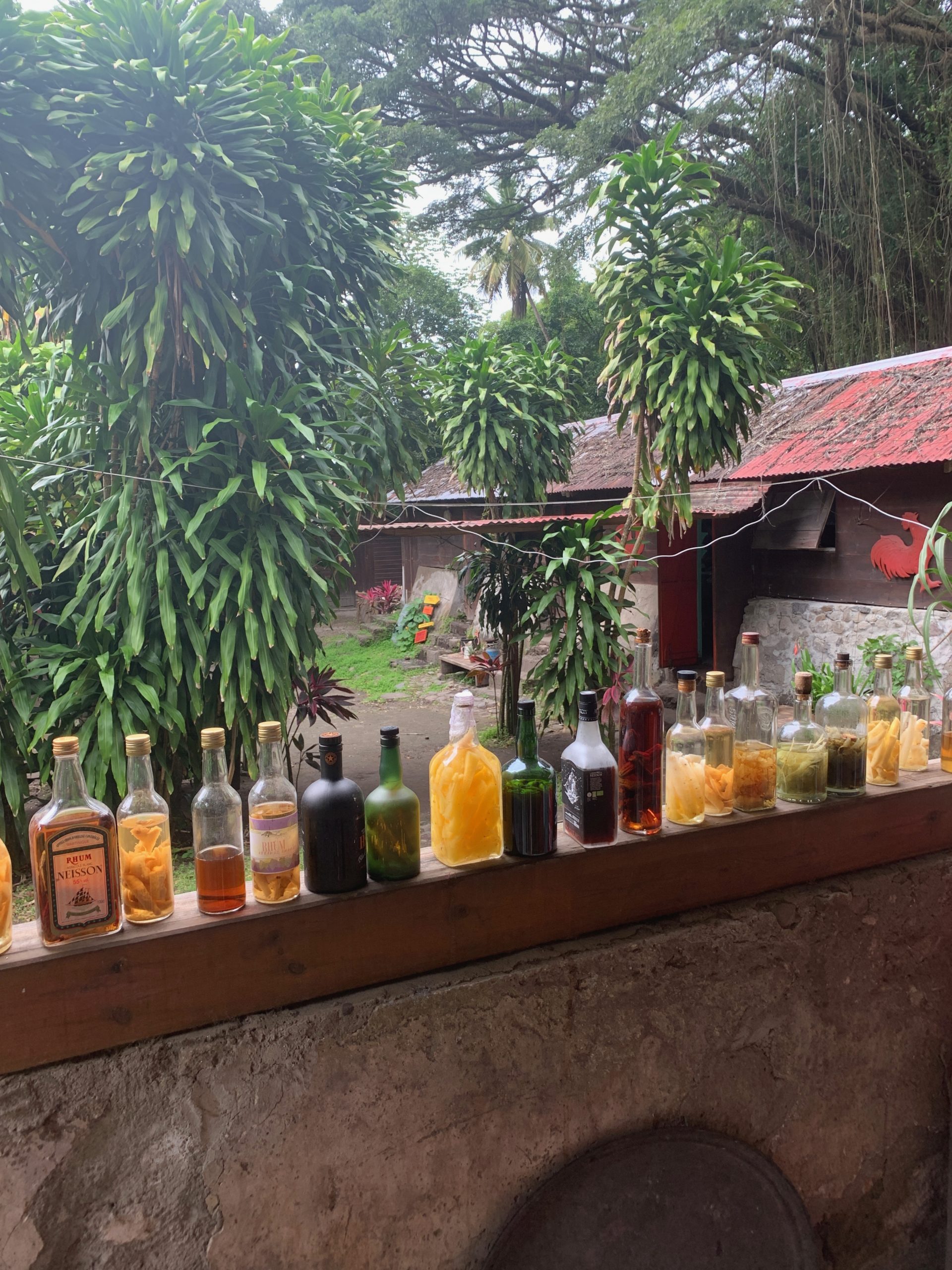 Bottle collection at Habitation Céron in Martinique