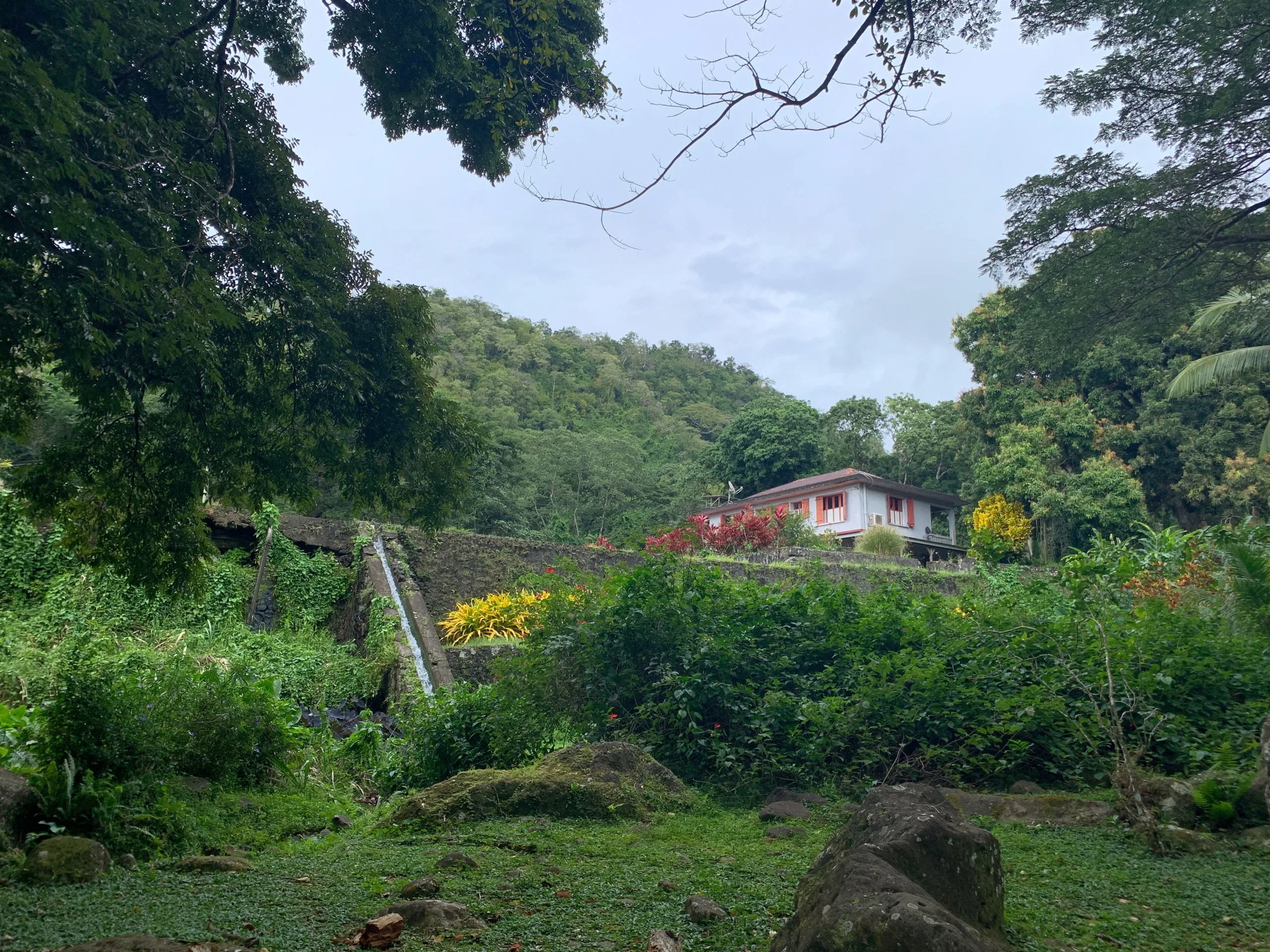 Greenery and a small house surrounded by nature on Habitation Céron's estate