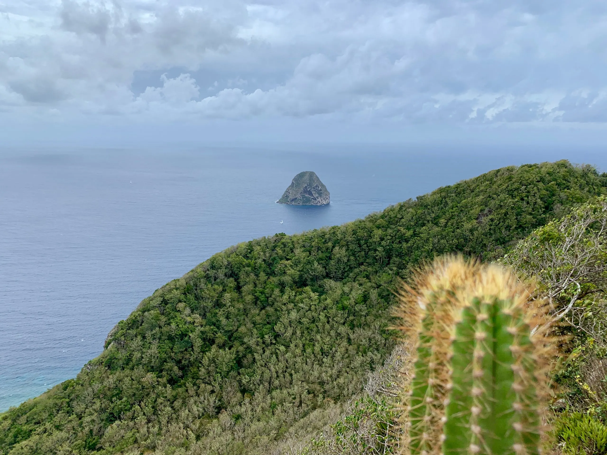 A view of Le Diamant rock with a cactus in the foreground 