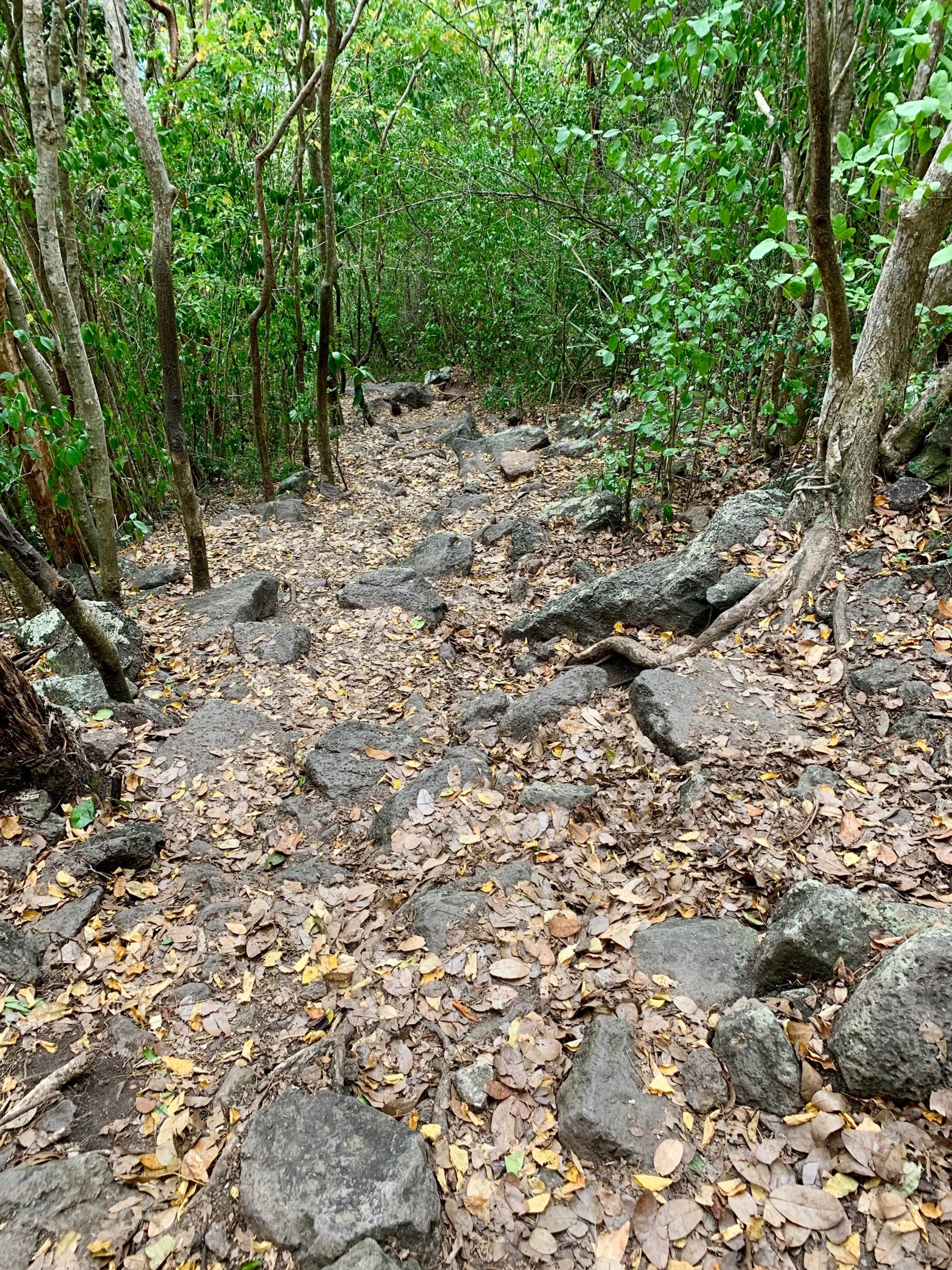 A glimpse of the steep, rocket terrain of the hike that takes you up the mountain