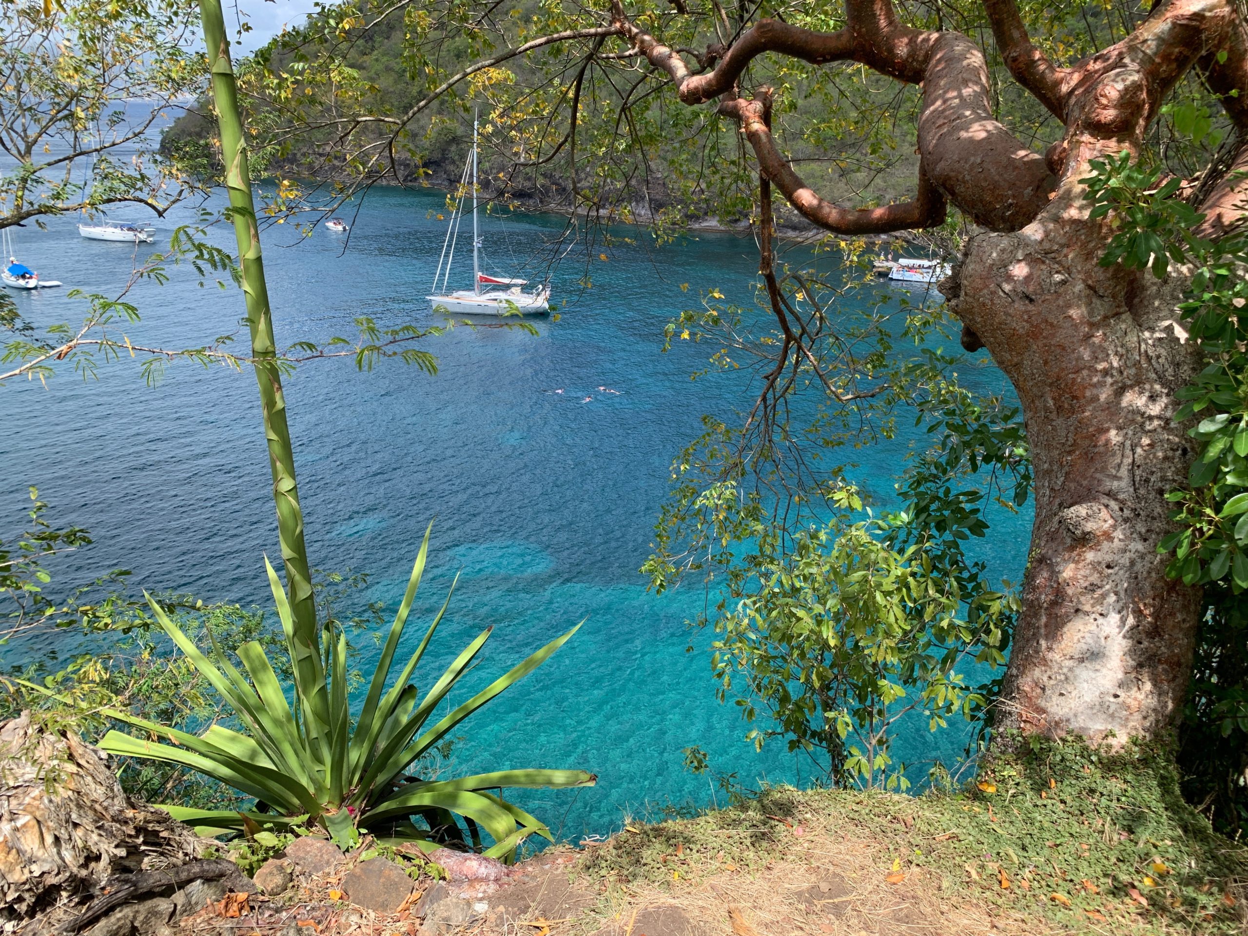 Boats floating on gorgeous blue water at Anse Noire in Les Anses d'Arlet