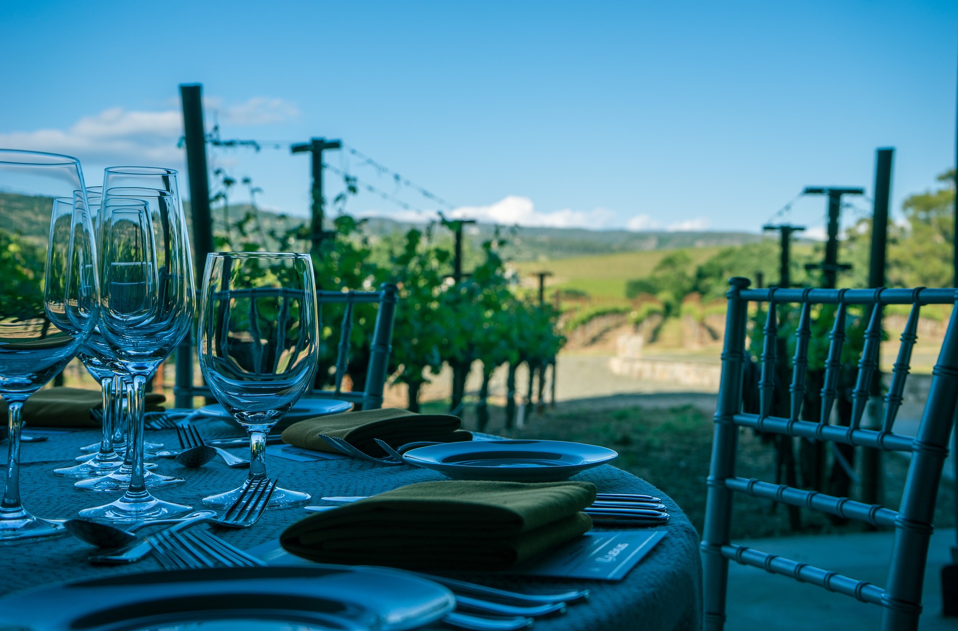 A table set in front of grapevines 