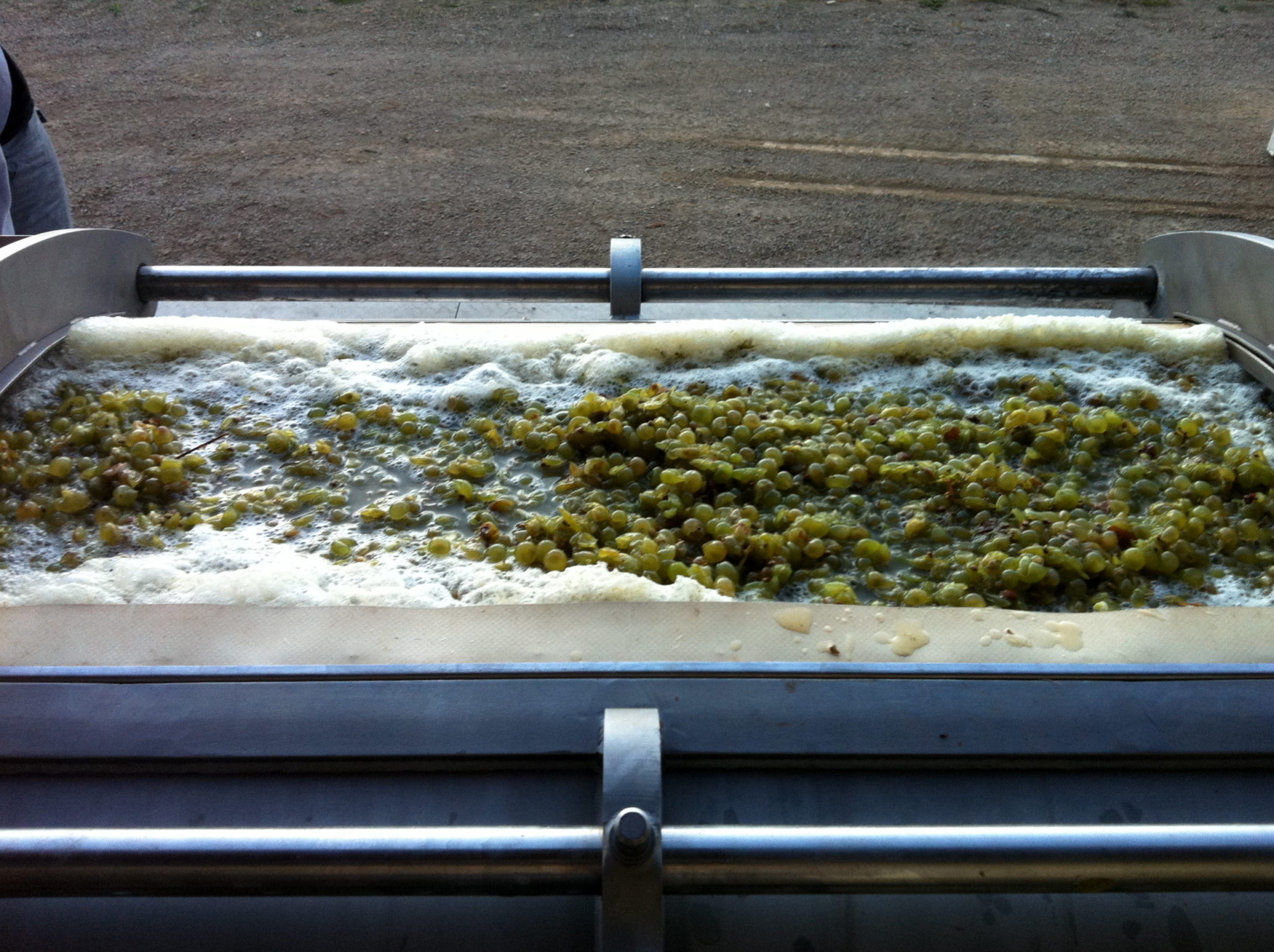 How Wine Is Made Everything You Need To Know in 6 Simple Steps