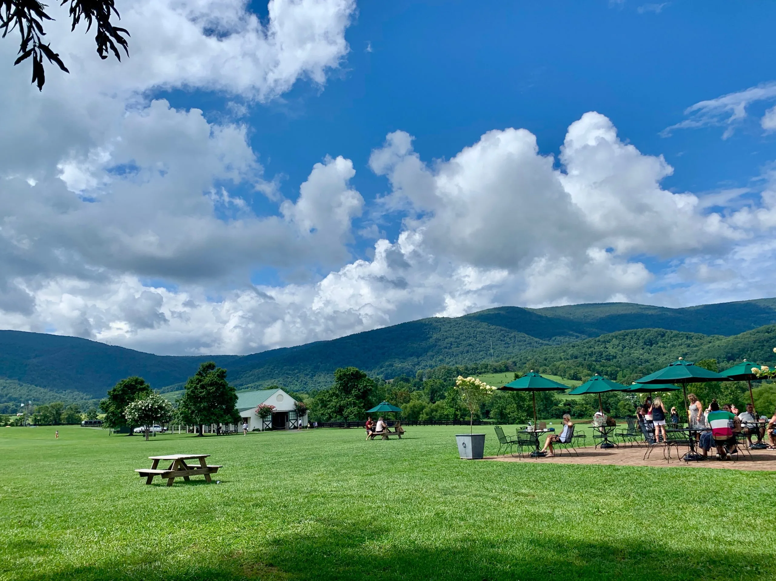 The mountain-surrounding patio area, fields, and stables at King Family Vineyard