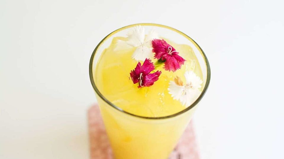 20 Easy, Cheap 2Ingredient Vodka Drinks Outside The Wine Box