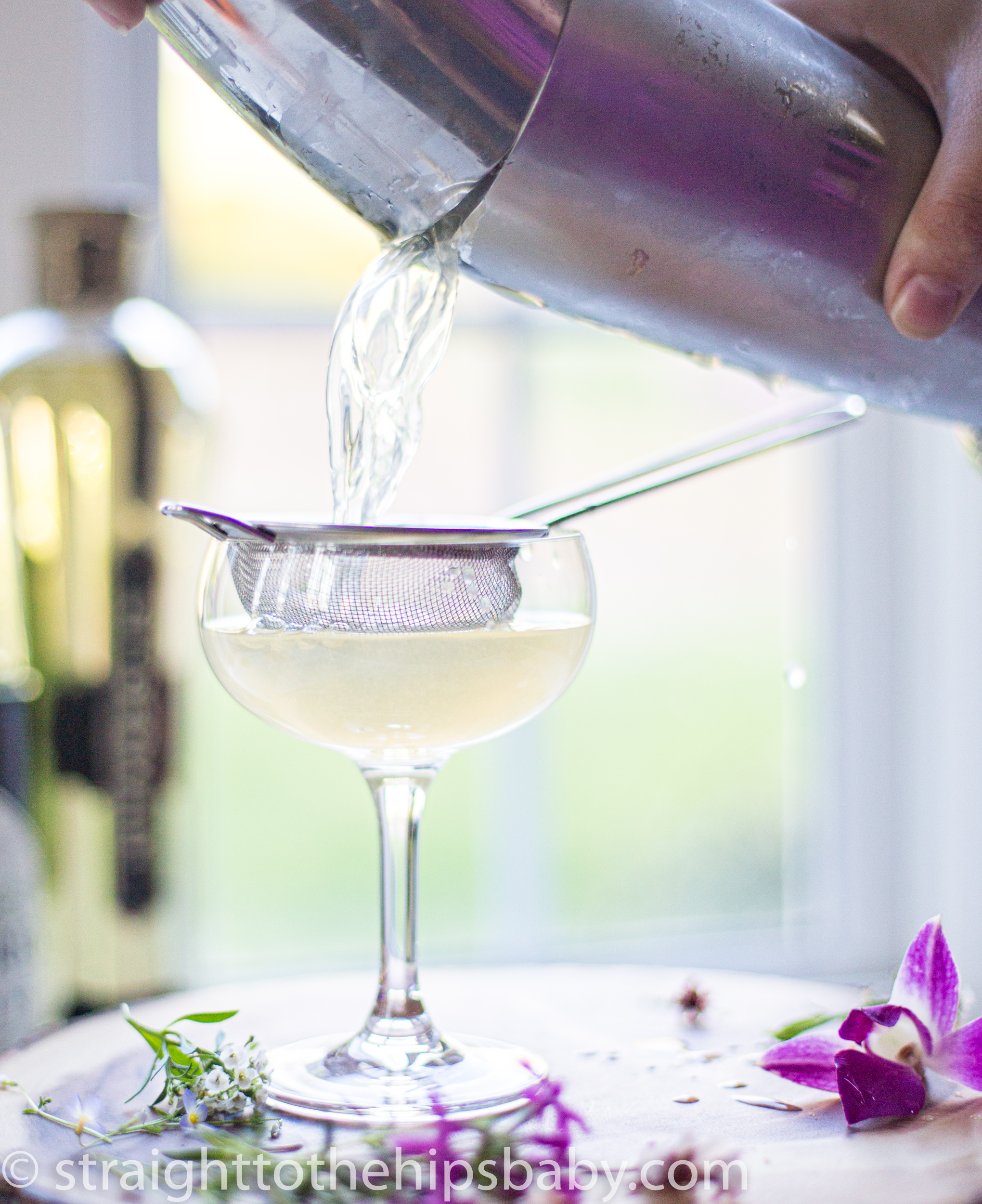 25 Top StGermain & Gin Cocktails Outside The Wine Box