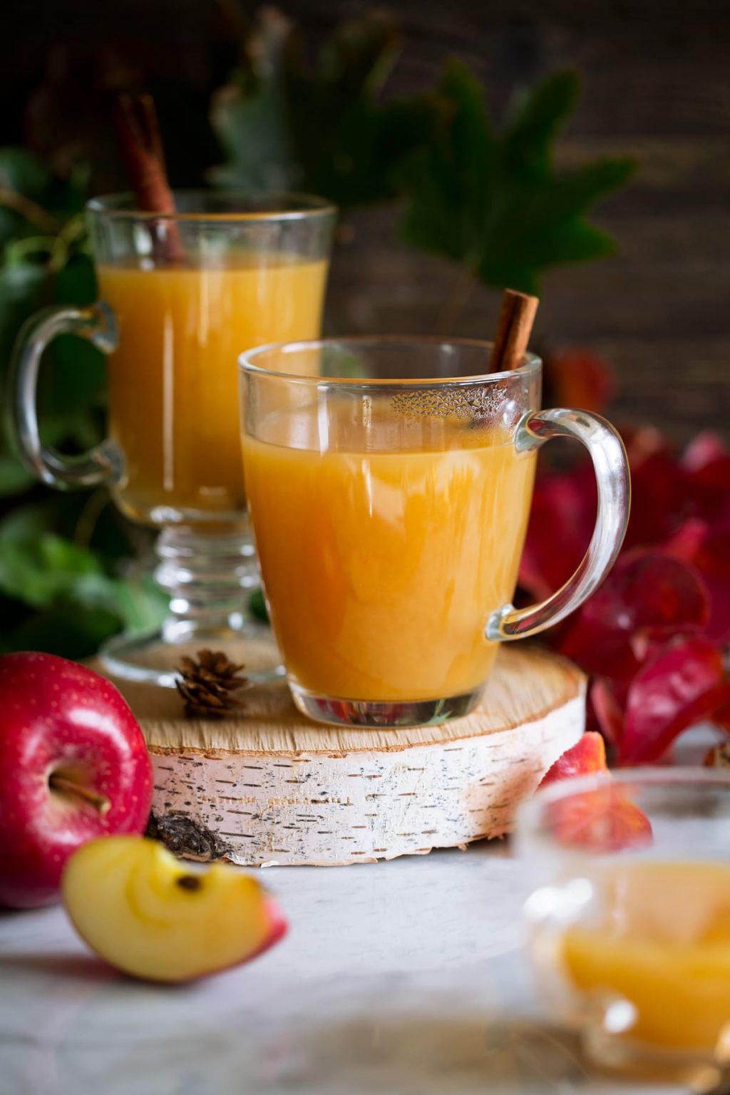 12 Best Non Alcoholic Fall Party Punch Recipes Outside The Wine Box 12-best-non-alcoholic-fall-party-punch-recipes-outside-the-wine-box