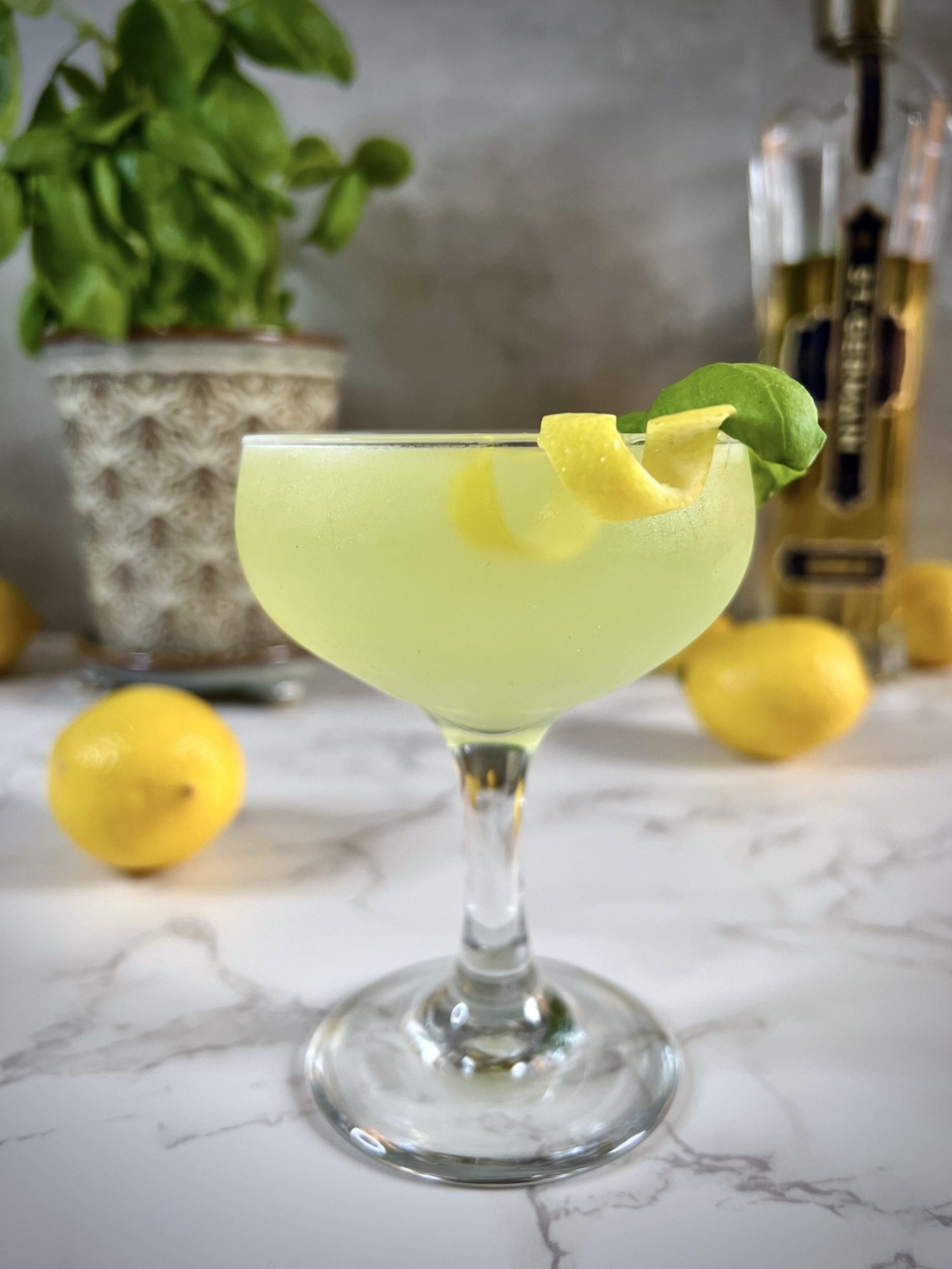 A close up of a St Germain Lemon Basil Martini with the lemon twist front and center.