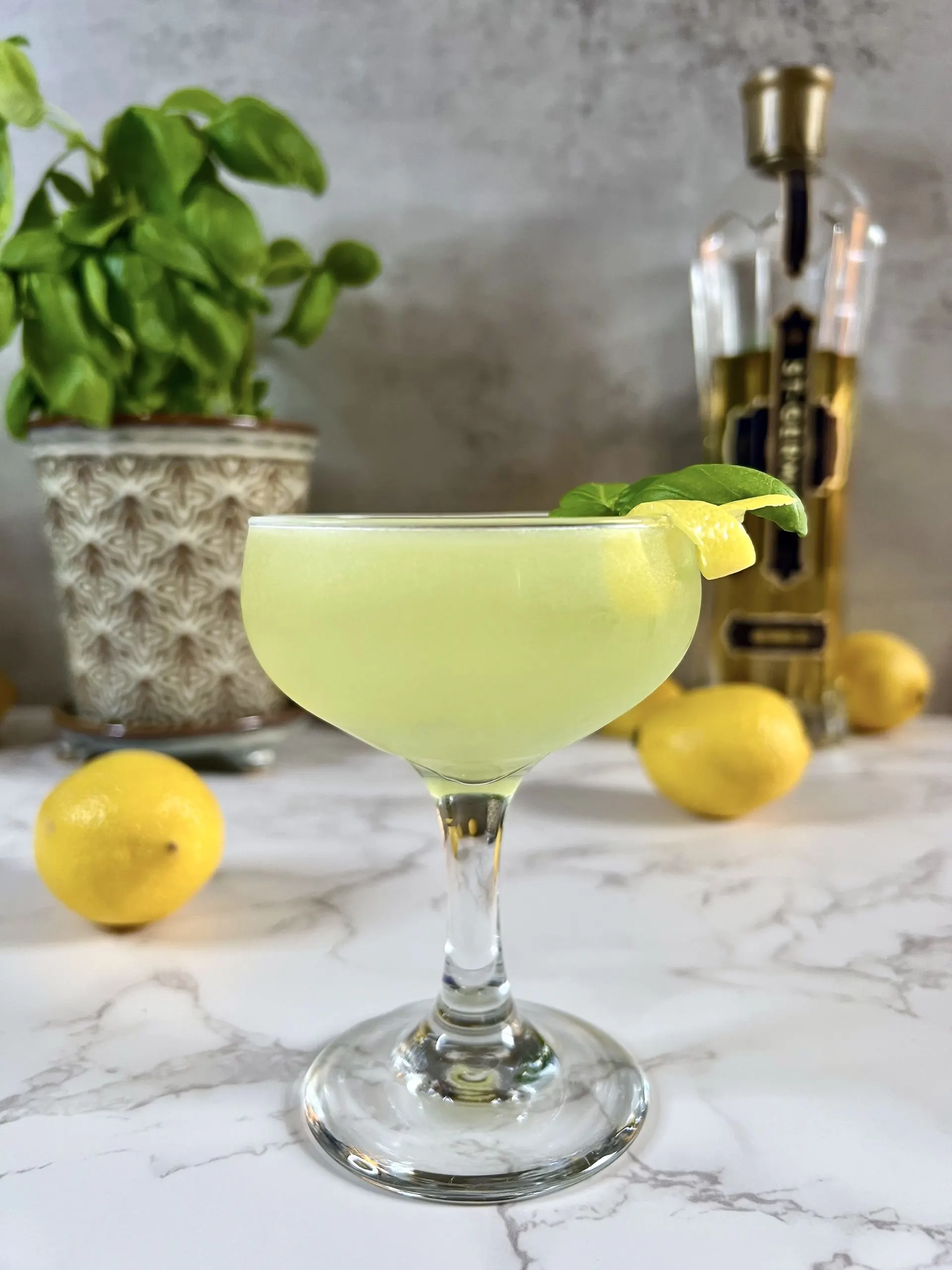A straight on shot of a St Germain Lemon Basil Martini with a lemon twist and sprig of basil surrounded by lemons in front of a basil plant and a bottle of St Germain liqueur.