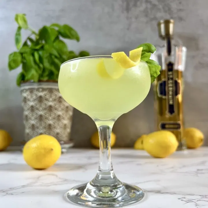St Germain Lemon Basil Martini