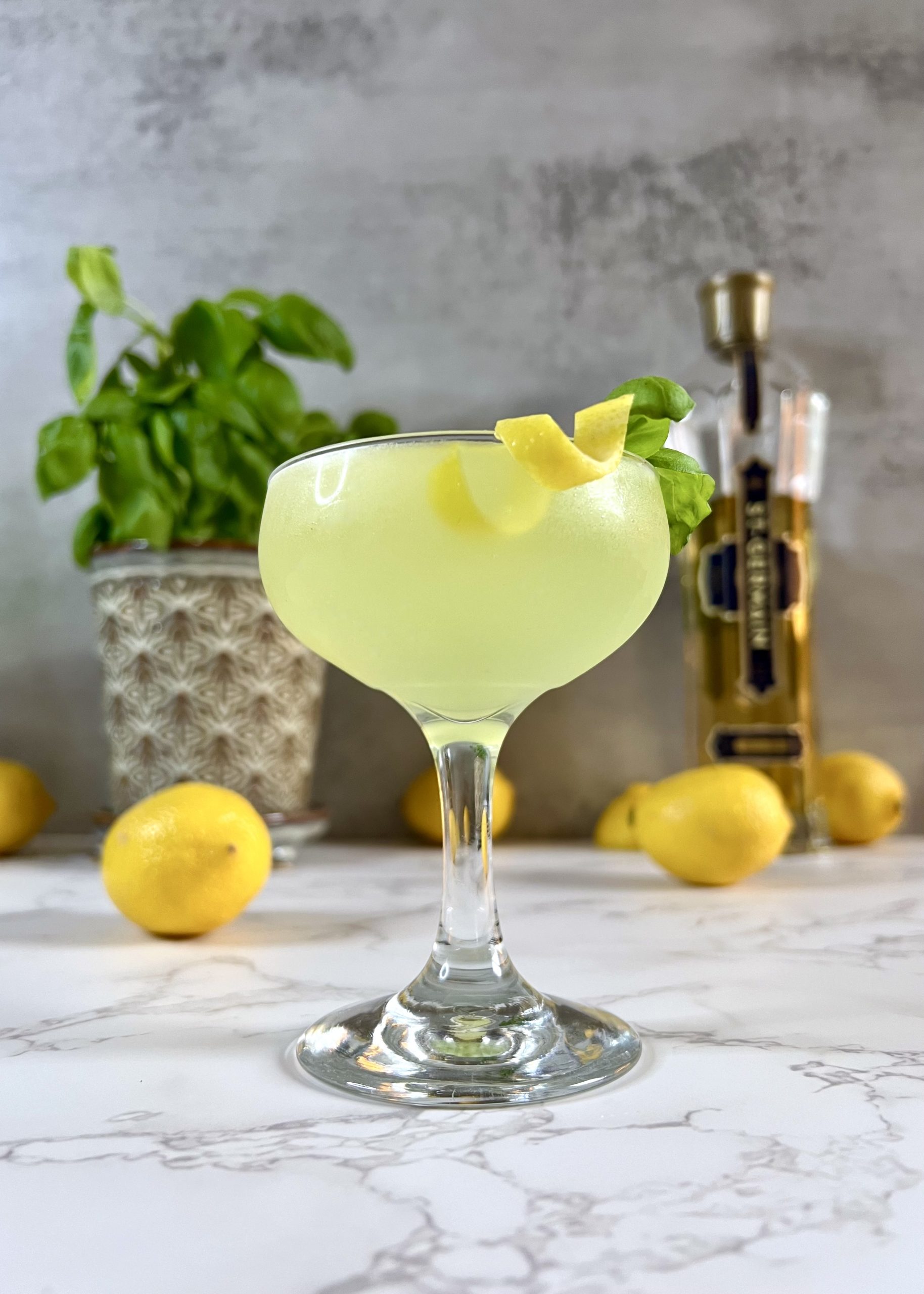 A St Germain Lemon Basil Martini in the foreground garnished with a lemon twist and sprig of basil with a basil plant, a bottle of St Germain liqueur, and lemons in the background.