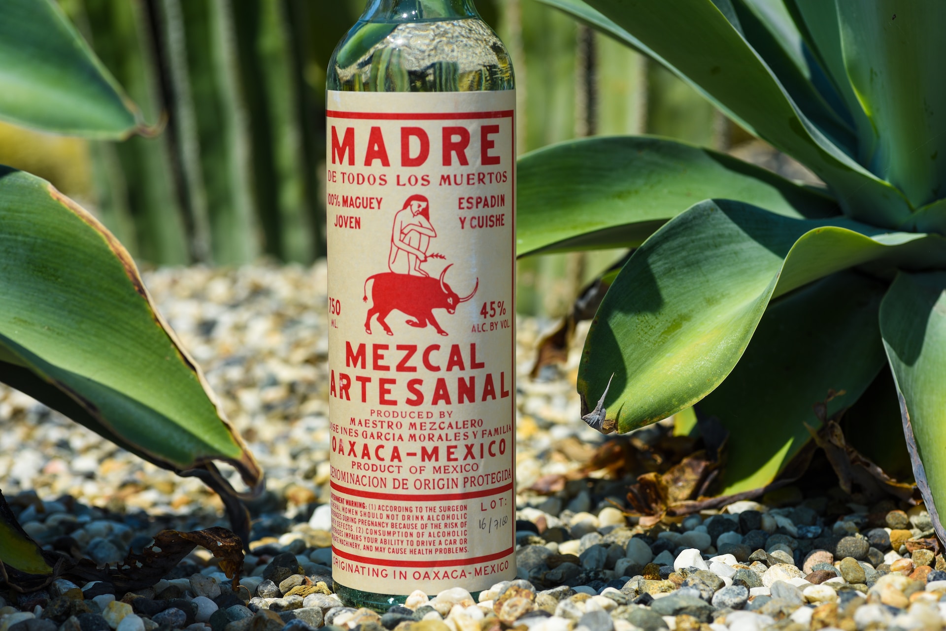 A bottle of Madre Mezcal outdoors surrounded by greenery.
